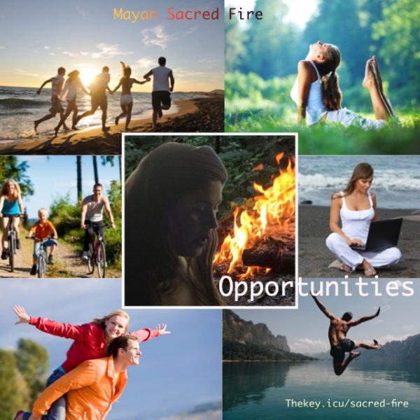 collageProductosThekey:Opportunities